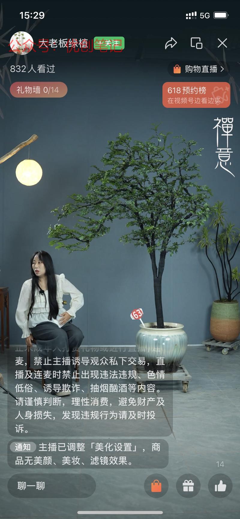 大型盆景，园艺绿植直播…#情报-搞钱线报📢论坛-网创交流-优创圈